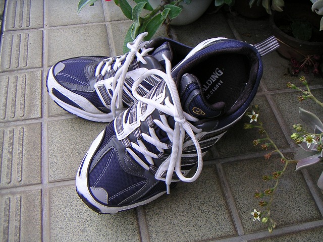 MaKO�̌C