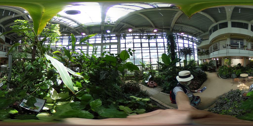 360�x�J�����ŎB�����ʐ^